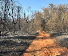 Com bombeiros mobilizados, helicóptero reforça combate a incêndio em Maria Helena