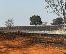 Com bombeiros mobilizados, helicóptero reforça combate a incêndio em Maria Helena