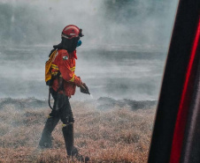  Corpo de Bombeiros do Paraná já atendeu mais de 9,3 mil incêndios florestais em 2024