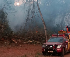  Corpo de Bombeiros do Paraná já atendeu mais de 9,3 mil incêndios florestais em 2024