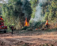  Corpo de Bombeiros do Paraná já atendeu mais de 9,3 mil incêndios florestais em 2024