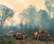  Corpo de Bombeiros do Paraná já atendeu mais de 9,3 mil incêndios florestais em 2024