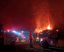  Corpo de Bombeiros do Paraná já atendeu mais de 9,3 mil incêndios florestais em 2024