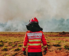  Corpo de Bombeiros do Paraná já atendeu mais de 9,3 mil incêndios florestais em 2024