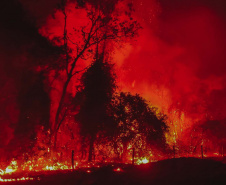  Corpo de Bombeiros do Paraná já atendeu mais de 9,3 mil incêndios florestais em 2024