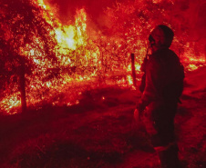  Corpo de Bombeiros do Paraná já atendeu mais de 9,3 mil incêndios florestais em 2024