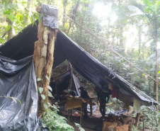 IAT e Força Verde desmobilizam acampamento de caçadores dentro do Pico do Marumbi