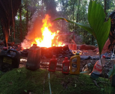 IAT e Força Verde desmobilizam acampamento de caçadores dentro do Pico do Marumbi