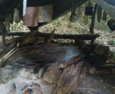 IAT e Força Verde desmobilizam acampamento de caçadores dentro do Pico do Marumbi