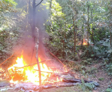 IAT e Força Verde desmobilizam acampamento de caçadores dentro do Pico do Marumbi