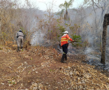 Retorno da segunda equipe de bombeiros militares encerra missão paranaense no Pantanal