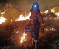 Retorno da segunda equipe de bombeiros militares encerra missão paranaense no Pantanal