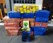 Com 326 toneladas, Paraná lidera apreensão de drogas no Brasil em 2024
