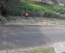 Homem é preso por crime ambiental ao colocar fogo em vegetação em Cascavel