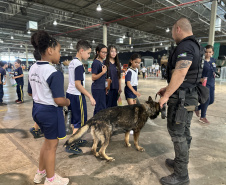 PCPR na Comunidade leva atendimento a moradores de Toledo, Cascavel e Carlópolis