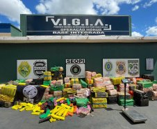 Com 326 toneladas, Paraná lidera apreensão de drogas no Brasil em 2024