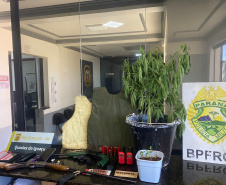 PCPR prende 57 pessoas em três megaoperações simultâneas contra o crime organizado