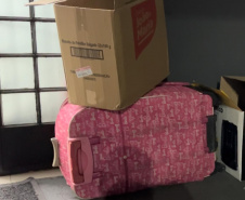 PMPR prende casal na rodoviária de Curitiba com 35 kg de maconha em malas