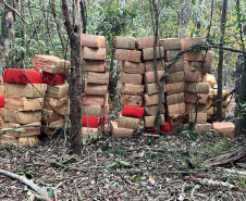 Com 326 toneladas, Paraná lidera apreensão de drogas no Brasil em 2024