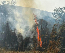 Com volta do calor, Bombeiros reforçam combate a incêndios florestais