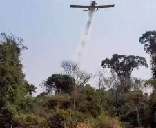 Com volta do calor, Bombeiros reforçam combate a incêndios florestais
