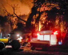 Com volta do calor, Bombeiros reforçam combate a incêndios florestais