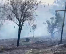 Com volta do calor, Bombeiros reforçam combate a incêndios florestais