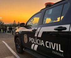 PCPR deflagra operação contra grupo de mulheres ligado a furtos em Piraquara