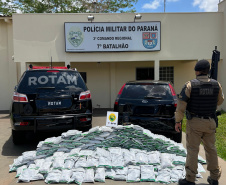 PMPR apreende 300 quilos de agrotóxicos contrabandeados em Cruzeiro do Oeste