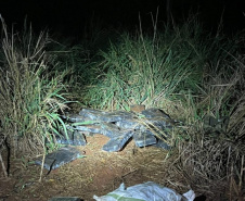 Polícia Militar do Paraná apreende quase três toneladas de maconha em Terra Roxa
