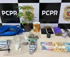 PCPR prende 14 pessoas em operação de combate ao tráfico de drogas em Nova Esperança