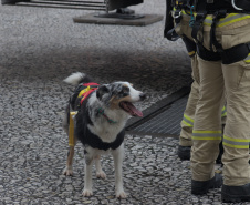Corpo de Bombeiros simula resgate em altura e chama a atenção no centro de Curitiba