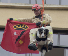 Corpo de Bombeiros simula resgate em altura e chama a atenção no centro de Curitiba