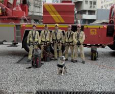 Corpo de Bombeiros simula resgate em altura e chama a atenção no centro de Curitiba