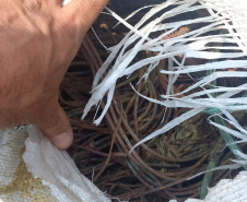 PCPR e PMPR prendem homem com 470 quilos de fios de cobre em Jardim Alegre