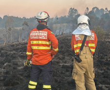 Aviões contratados pelo Estado reforçam combates a dois incêndios em Ponta Grossa