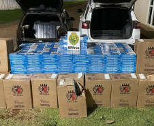 PMPR apreende mais de 2 mil pacotes de cigarros contrabandeados durante a Operação Protetor