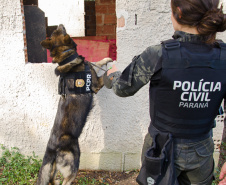 PCPR prende sete pessoas por crimes distintos em Rio Negro