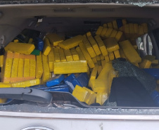 Polícia Militar apreende 800 quilos de maconha em Curitiba