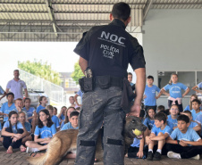 Londrina, Mandaguari e Rolândia recebem o programa PCPR na Comunidade nesta semana