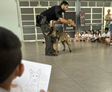 Londrina, Mandaguari e Rolândia recebem o programa PCPR na Comunidade nesta semana
