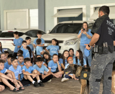 Londrina, Mandaguari e Rolândia recebem o programa PCPR na Comunidade nesta semana