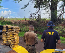  Cão Logan, da Polícia Penal, encontra entorpecentes escondidos em carreta 