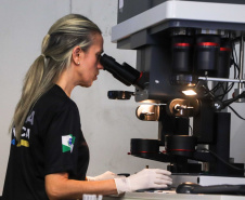 Investigação: Paraná é 2º estado que mais detectou compatibilidade balística no País