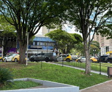 PM apreende drogas, armas e veículos em primeiro dia da Operação Cosud