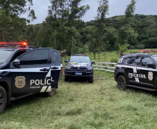 Sem custódia de presos, Polícia Civil do Paraná aumenta em 463% número de operações