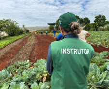 Pessoas privadas de liberdade participam de curso de planejamento de hortaliças em Cascavel