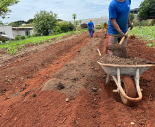 Pessoas privadas de liberdade participam de curso de planejamento de hortaliças em Cascavel