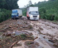Com tropa de elite, Bombeiros reforçam equipe de busca por criança em General Carneiro