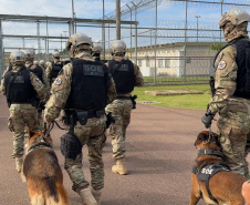 Polícia Penal intensifica ações de segurança nas unidades durante a Fase 2 da Operação Cosud